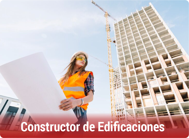 Campo Ocupacional Ing. Civil-CONSTRUCTOR DE EDIFICACIONES