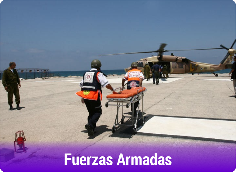 Fuerzas Armadas del Perú