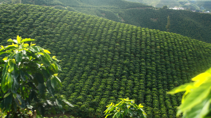 AGRO3 (1)