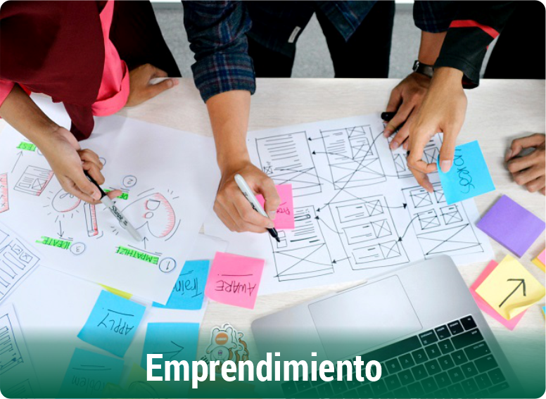Campo-Ocupacional-Admin-Neg.-Emprendimiento
