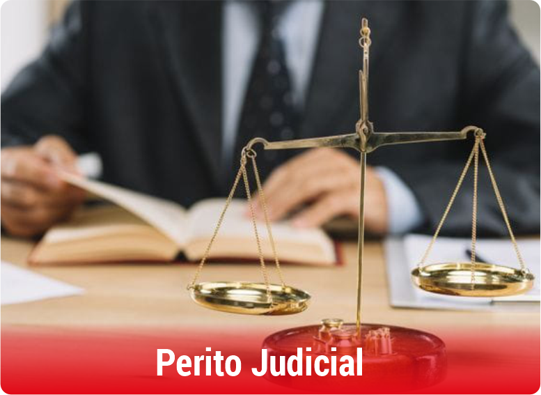 Campo-Ocupacional-Contabilidad-Perito