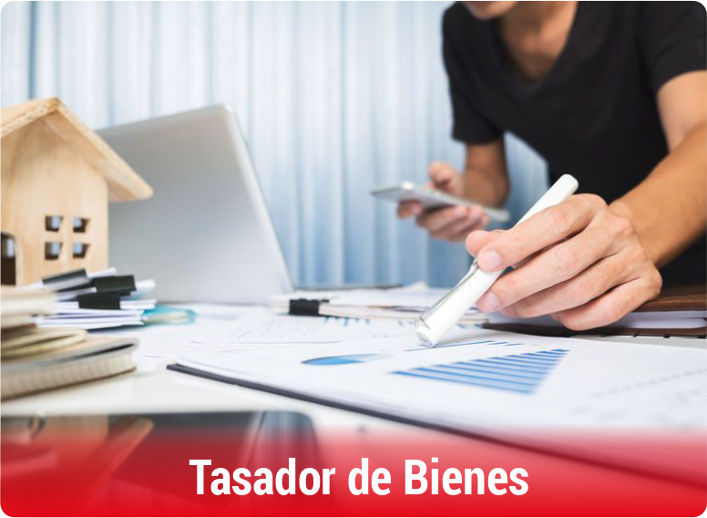 Campo-Ocupacional-Contabilidad-Tasador