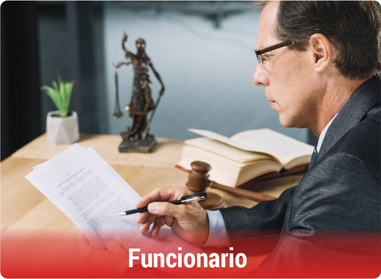 Campo-Ocupacional-Economia-Funcionario