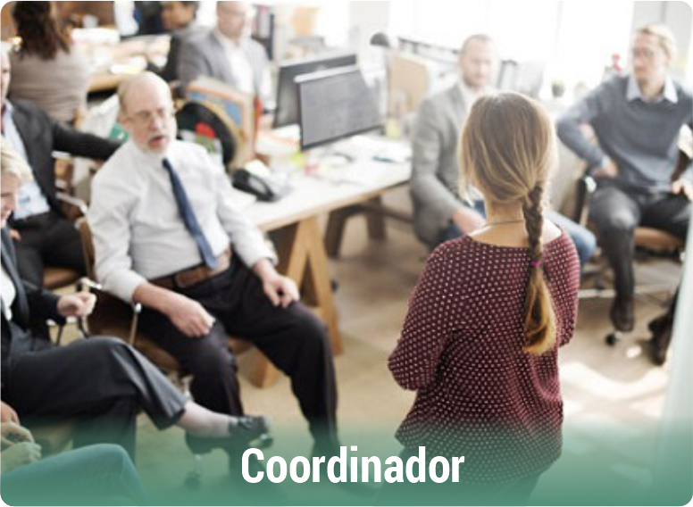 Campo-Ocupacional-Educacion-Primaria-Coordinador