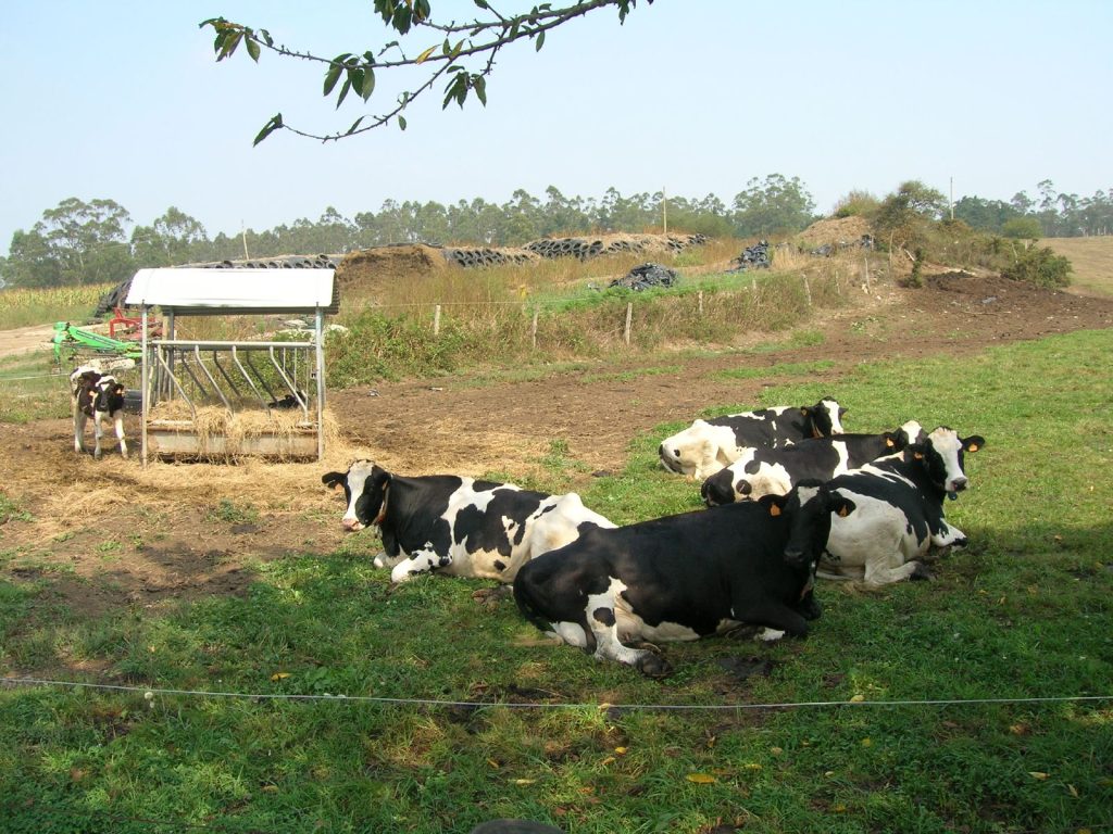 SATIPO-ZOOTECNIA-2